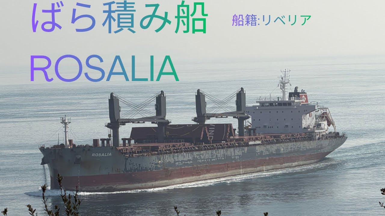 2026年1月 ばら積み船ROSALIA 来島海峡通過