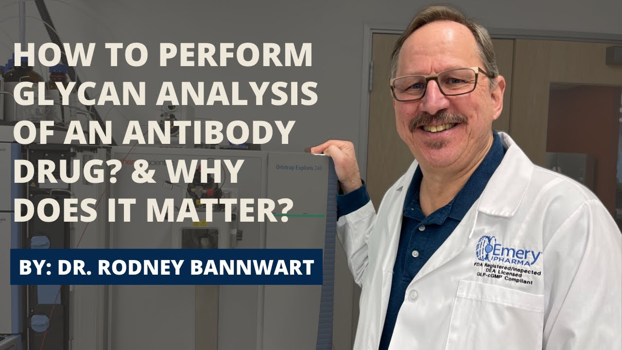Step-by-Step Glycan Analysis of a Biologic Therapeutic