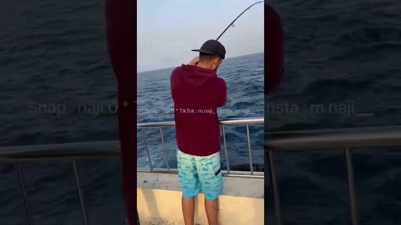 متعة تسحيب السمك شور جق 🔥🎣