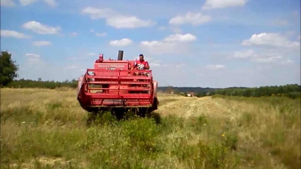 Rolnicy z Roju - Żniwa 2016 . Ursus , Massey Ferguson