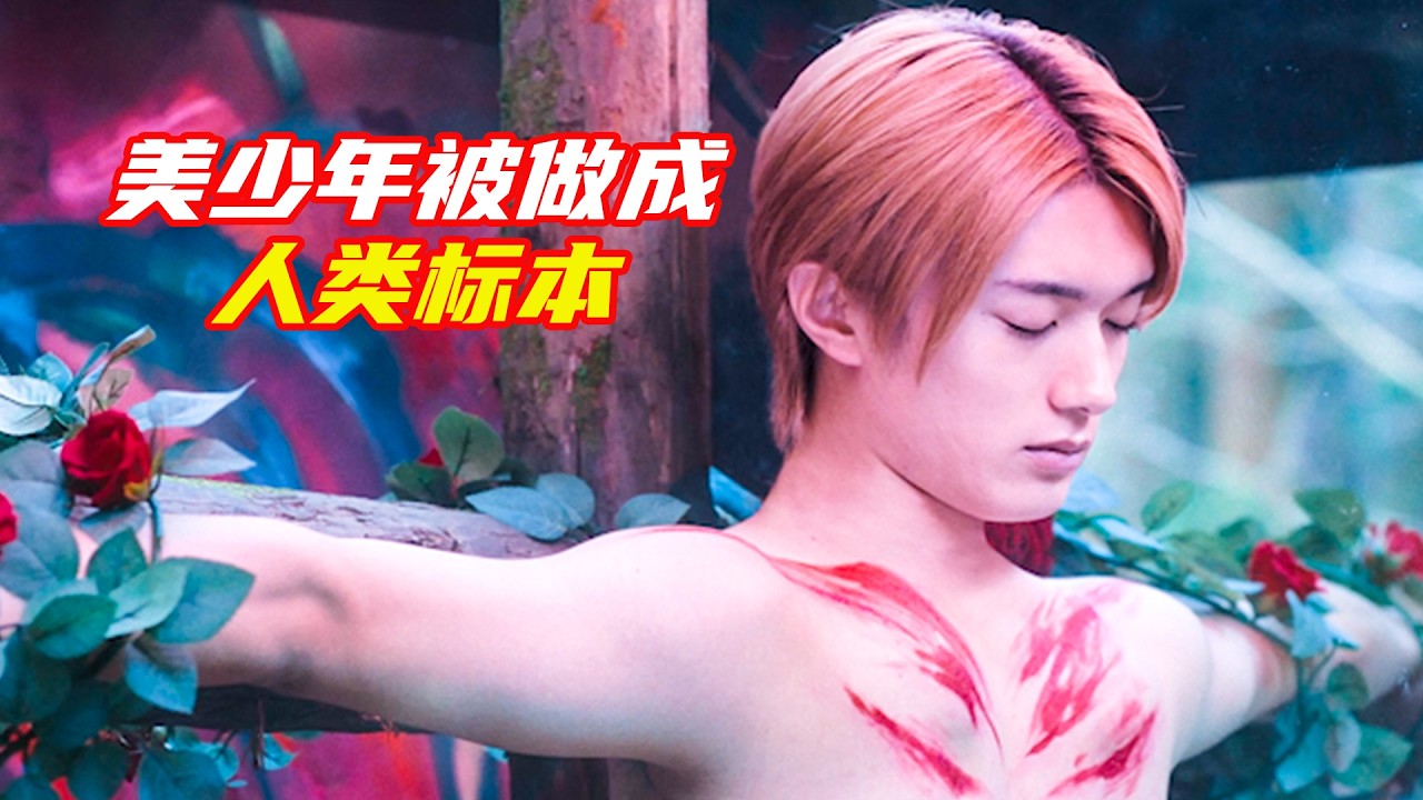六名男子被做人“人體蝴蝶”，被分別裝扮在玻璃盒子裏，結局意外；獵奇，奇幻，懸疑，電影解説合集