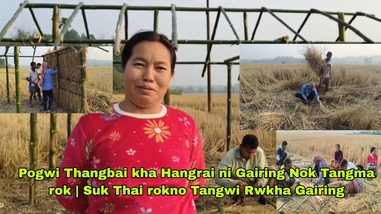Hangrai Nok Tangwi Rwkha Suk thai rokno Mwito Tonina Bagwi | Pogwi Thangbai kha Twrwk twrwk