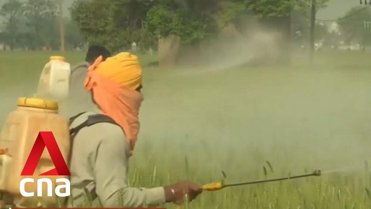 Rural regions in India most affected by extreme heat: Climate expert