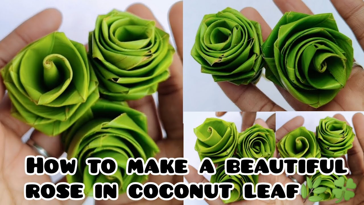 How to Make a beautiful rose in coconut leaf 🍀 easily in 5 min #youtubevideo #craft #madebyradharani
