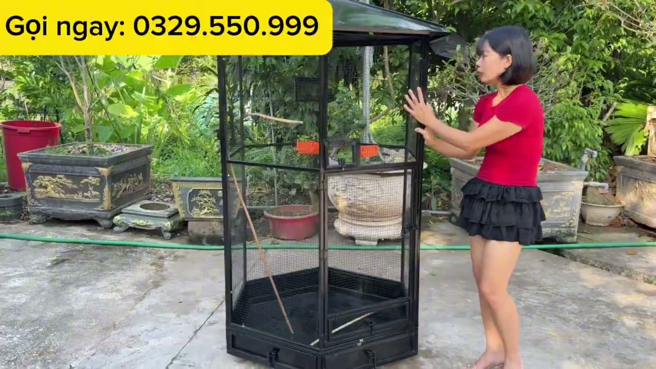 Avi lục giác vừa rẻ vừa đẹp 