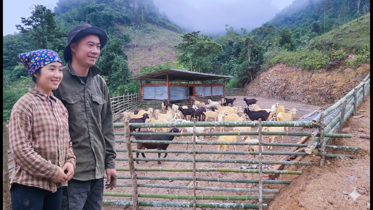 Phan and Chieu created a playground for the goats using bamboo poles.