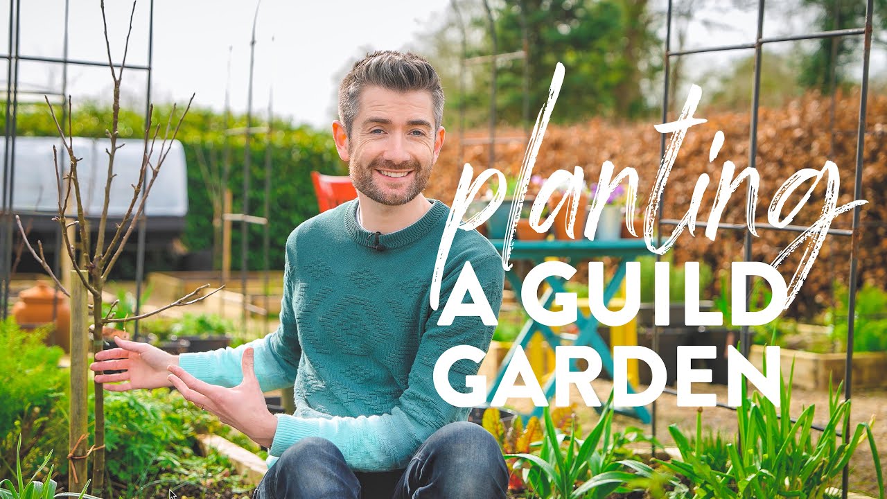 How to Plant a Polyculture Guild Garden - Companion Plants (Part 1)
