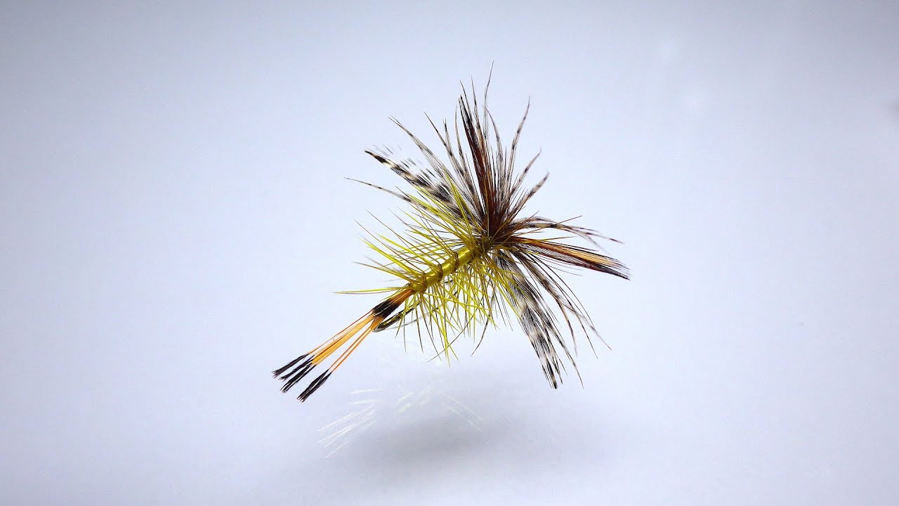 Tying an Olive Panama Fly with Davie McPhail