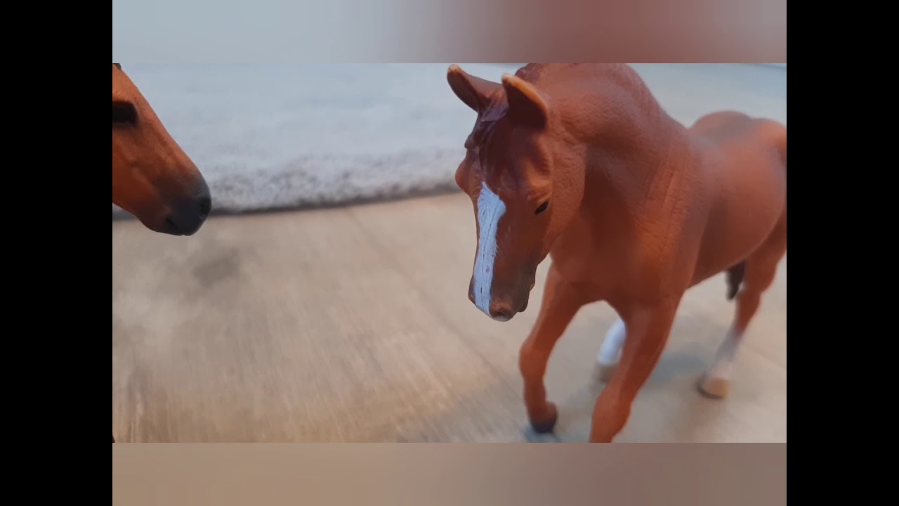 Spirit und Snow Verliebt #7 Staffel 3 Wir Tuen und zusammen‼ | Deutsch Schleich |