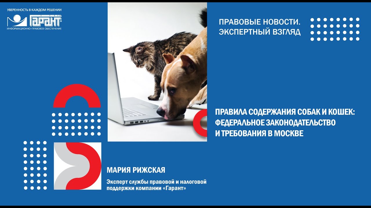 Правила содержания собак и кошек федеральное законодательство и требования в Москве