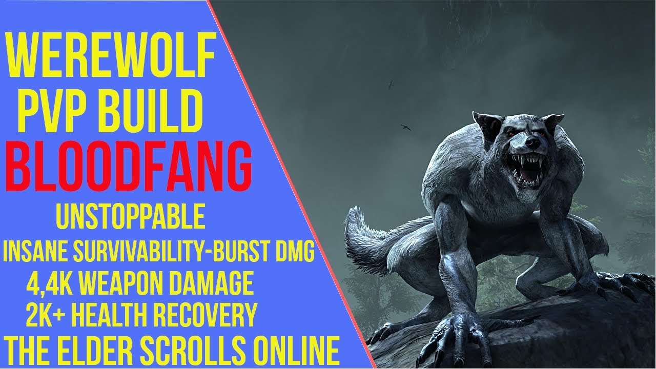 ESO Werewolf PVP Build & Gameplay - Bloodfang - Markarth