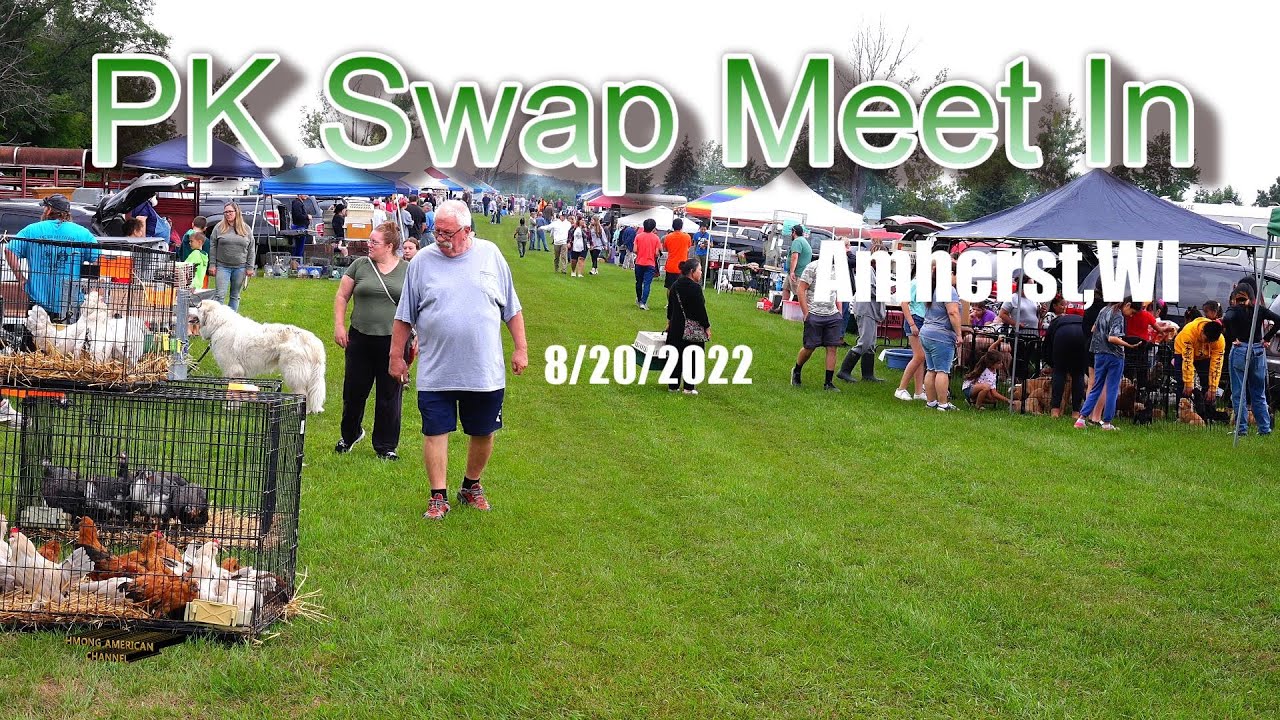 PK Swap Sale In Amherst,Wisconsin...Mes kas muag qaib August 20th 2022