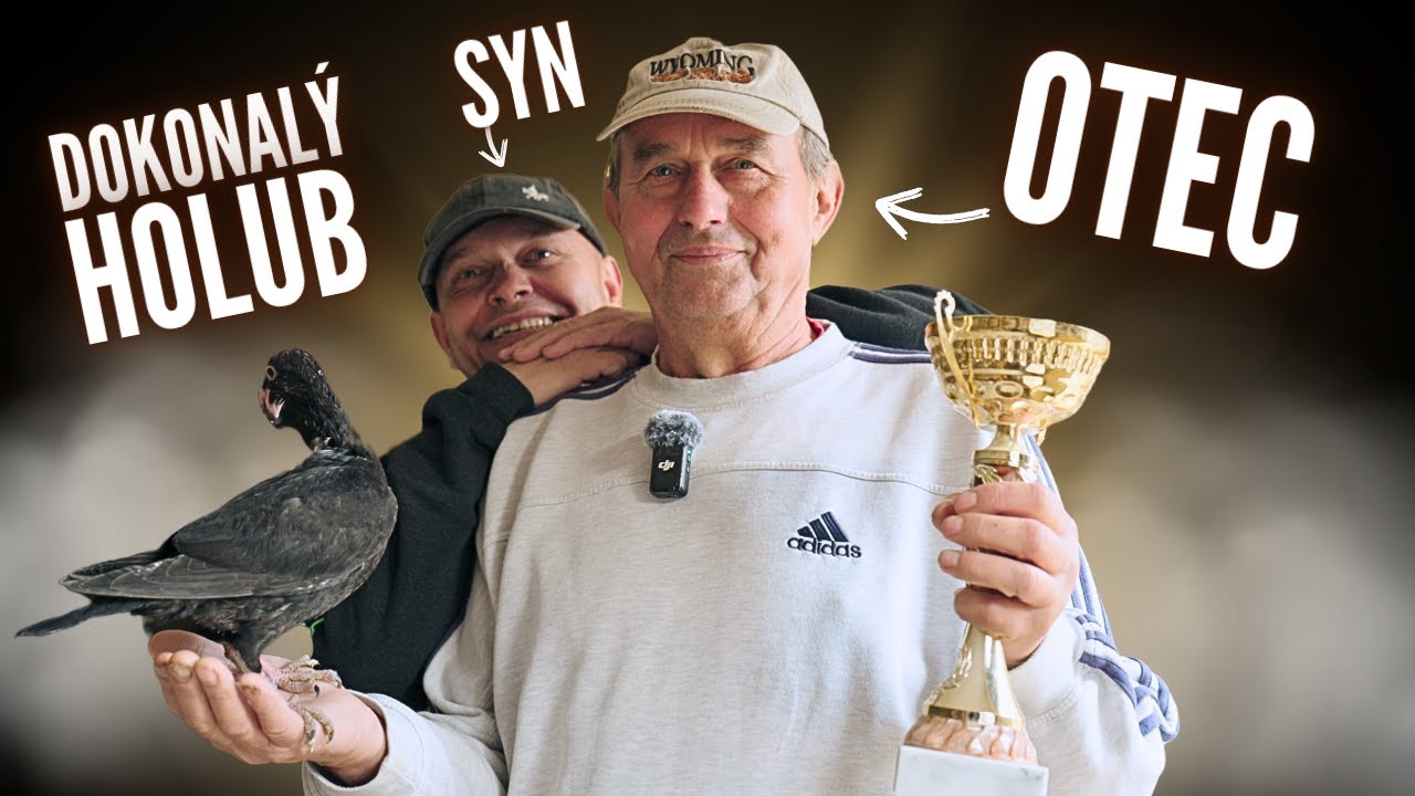 Dokonalý holub? Návštěva mého táty doma aneb co obnáší starost o elitní holuby
