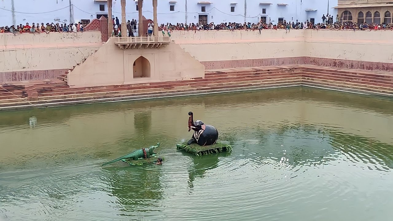 Vrindavan - रक्षा बंधन के दिन हाथी मगरमच्छ लीला 😱 रंग जी मंदिर