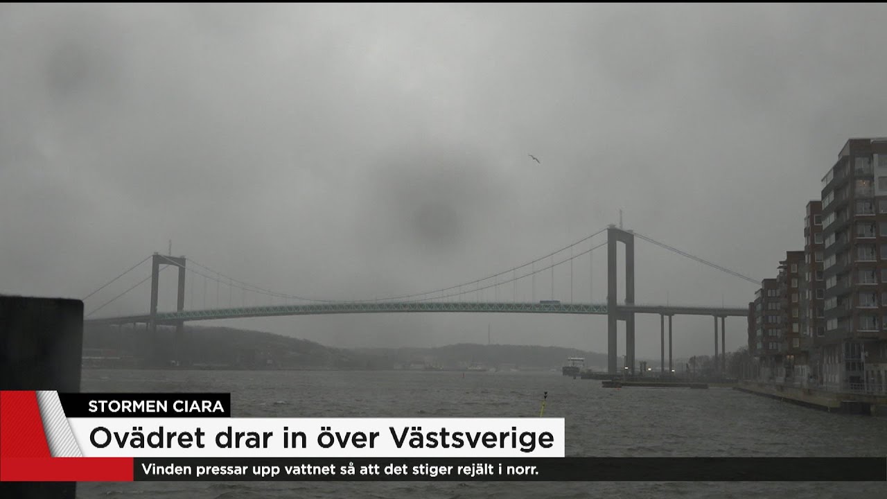 Hundratals flyg ställs in i Europa – så slår stormen mot Sverige - Nyheterna (TV4)