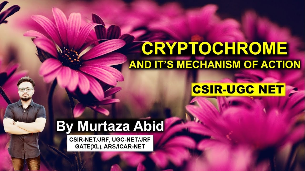 CRYPTOCHROME & IT'S MECHANISM OF ACTION || CSIR-NET, ICMR, DBT, GATE, M.Sc || Sensory Photobiology