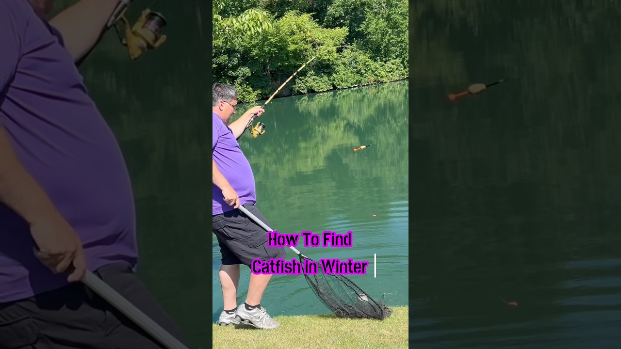How To Find Catfish In WINTER: Best Tips And Tricks! 🎣 #shorts #fishing