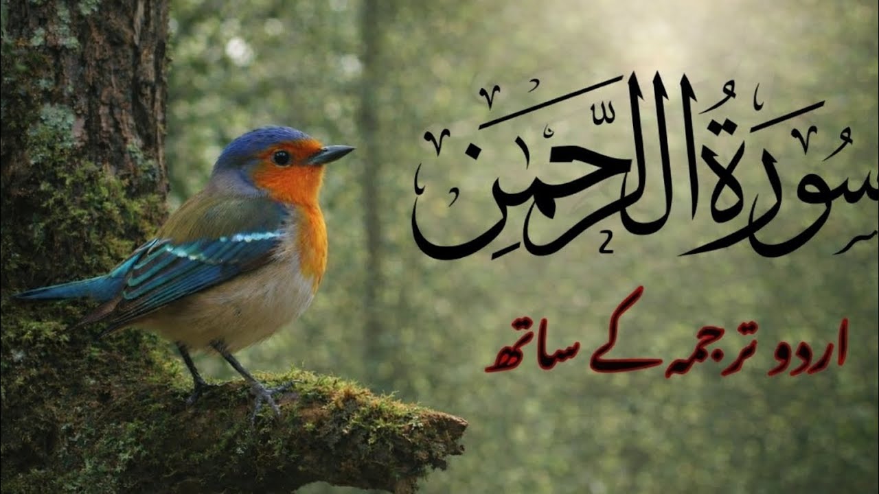 Surah Rehman urdu tarjuma ke sath | Qari Al Sheikh Abdul Samad