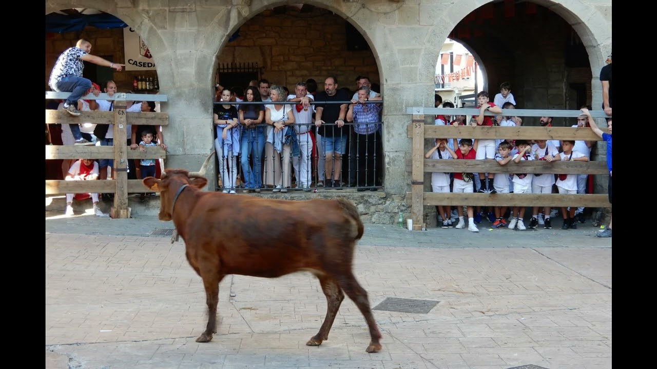 Fiestas de Cáseda 2024