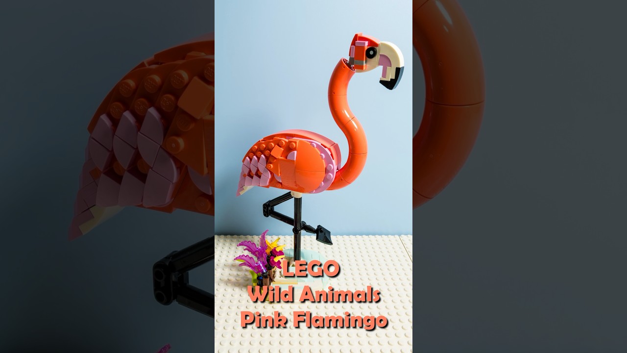 LEGO Creator 3-in-1 31170 - Wild Animals: Pink Flamingo - Speed Build Part 1 #lego #stopmotion