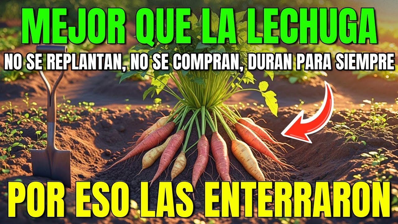 Planta Estas 8 Verduras Ancestrales UNA VEZ… y Cosecha Para Siempre