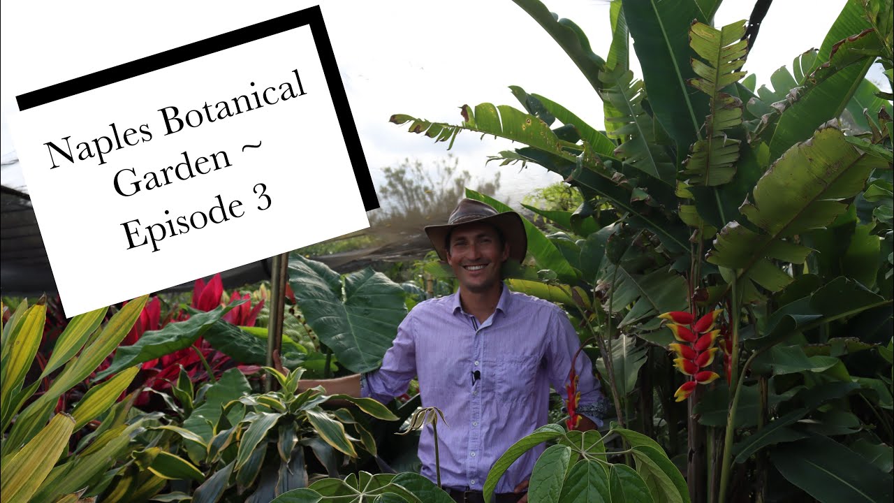 Naples Botanical Garden Episode 3 || Garden Walks with Jack