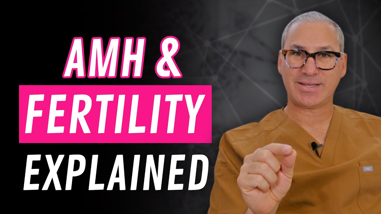 AMH Levels & Fertility | What You Need to Know