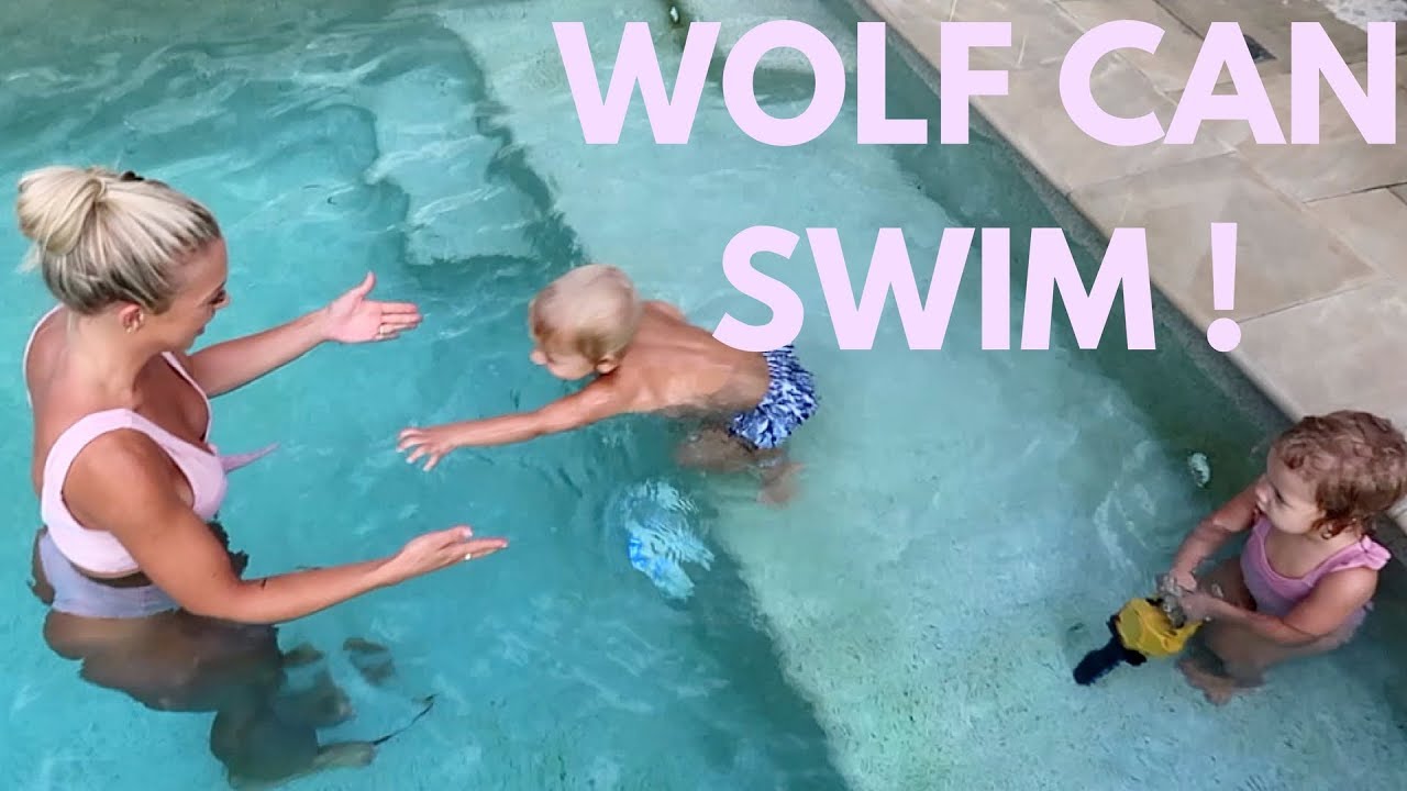 WOLF CAN SWIM | vlog
