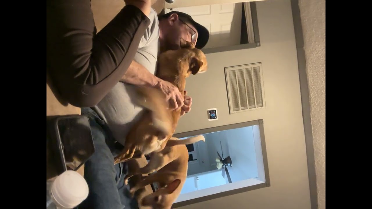Sam&Junior 