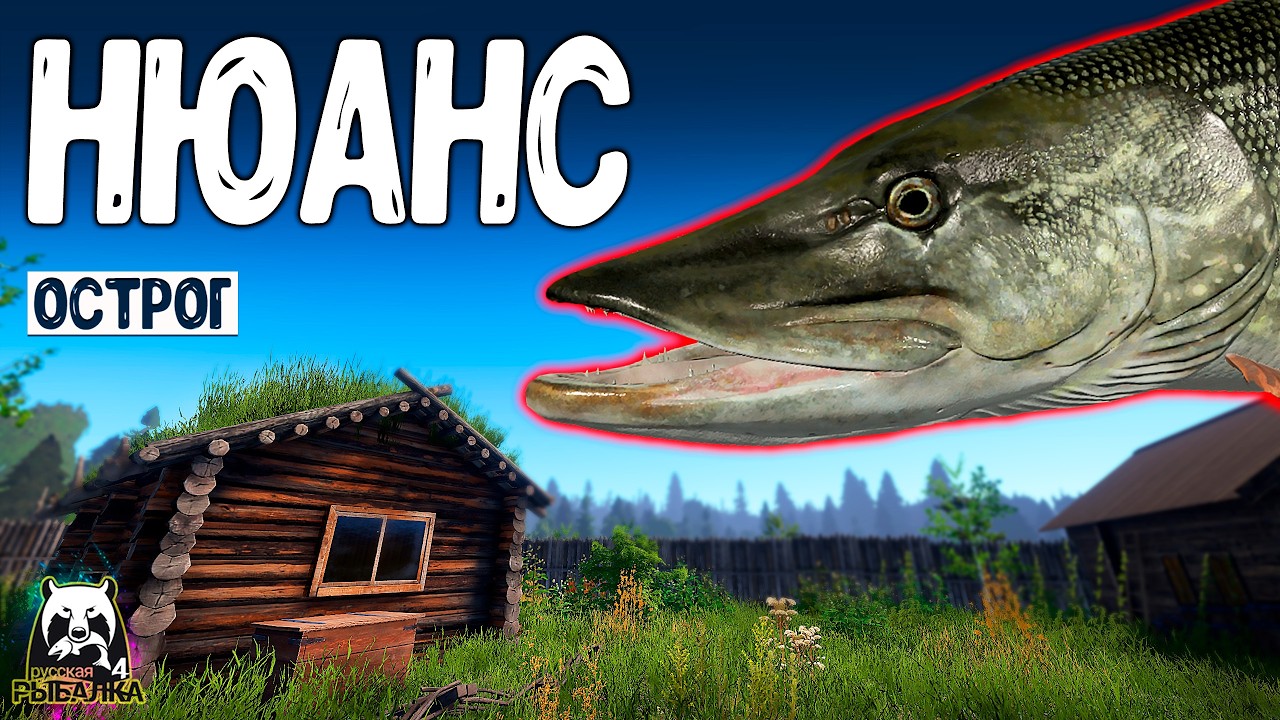 RF4 Они сами просятся на крючки но есть нюанс #рр4