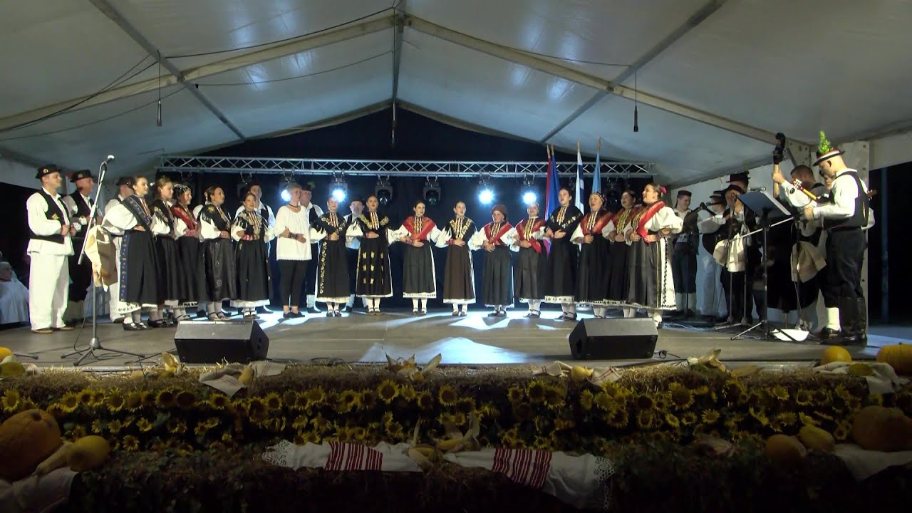 Čepinski suncokreti