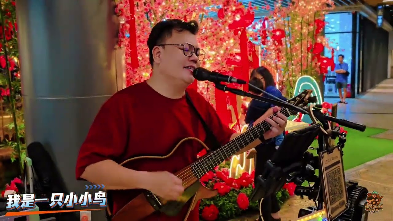 我是一只小小鸟