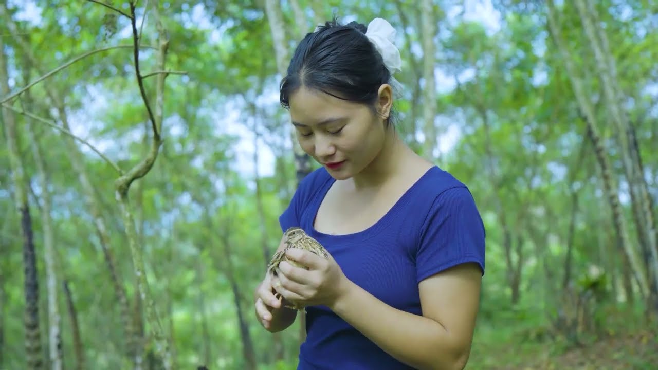 Harvesting Wild Birds from Rotten Tree Roots & Goes to Market Sell – Farm Life in the Countryside