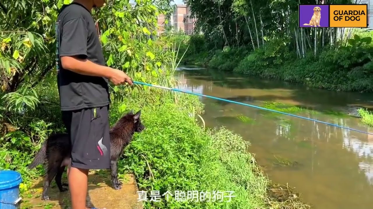 Me and My Dog Go Fishing | Fishing Adventure with My Dog 🐶