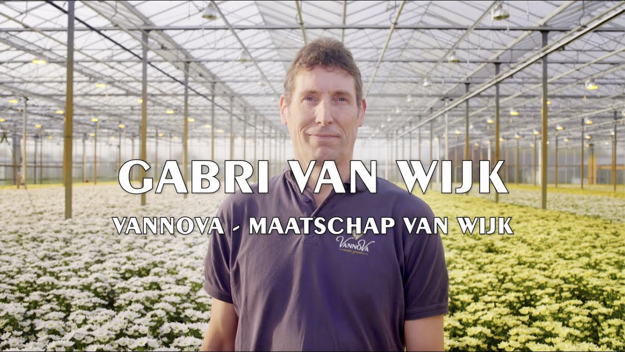 VannoVa Master Growers | Meet the growers of Maatschap van Wijk