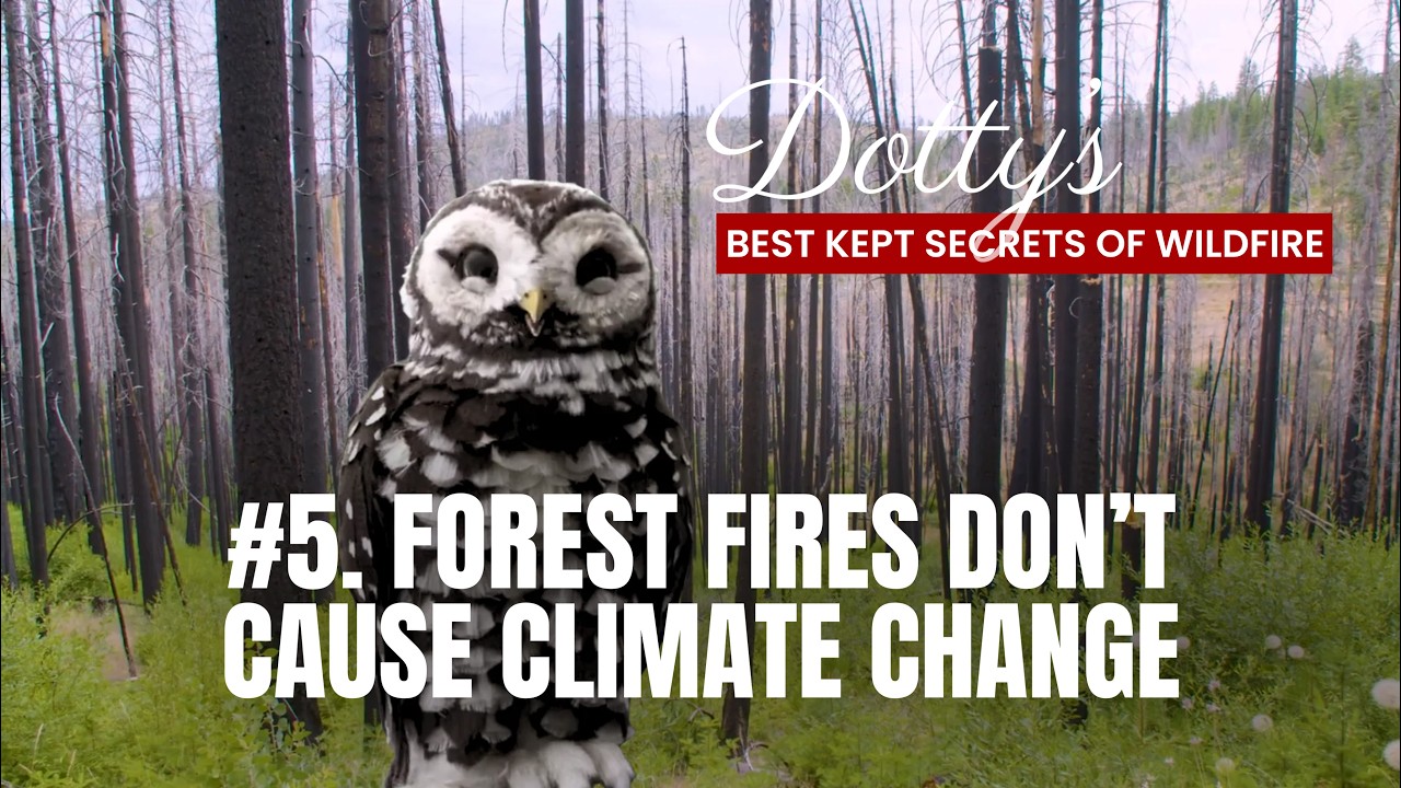 Dotty Owl’s Best Kept Secret of Fire - Ep 5 Climate Change