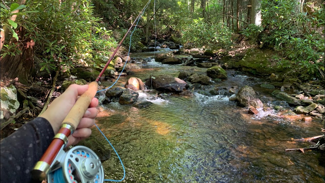 Chasing Native Brook Trout in the Mountains of Pennsylvania