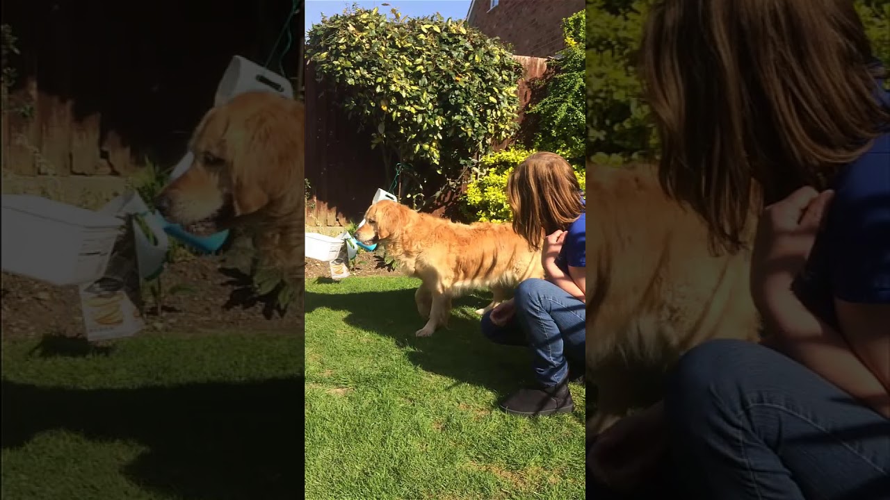 Washing line feeding game