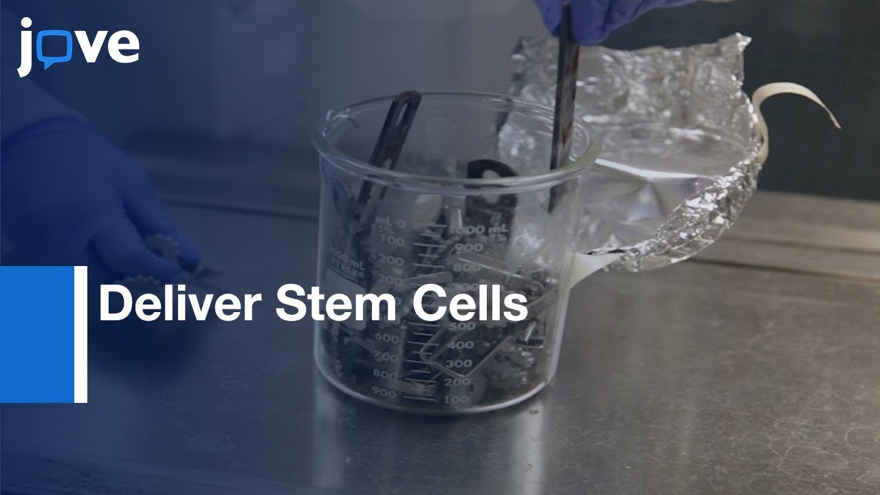 Electrically Conductive Scaffold To Modulate & Deliver Stem Cells l Protocol Preview