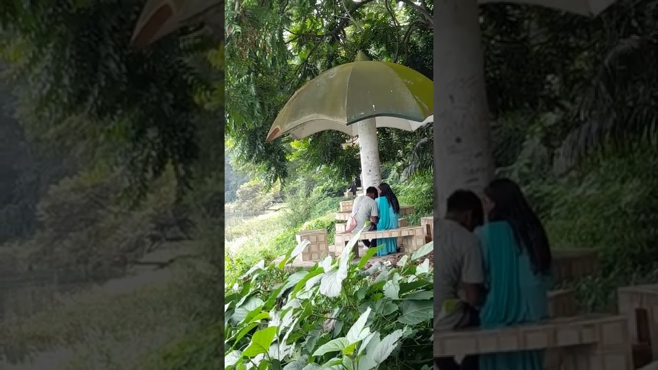 কি হচ্ছে এসব পার্কের গোপন নির্জনে | গোপনে ভিডিও করা