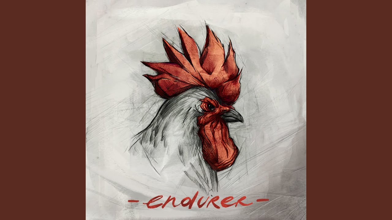 Черни лебеди