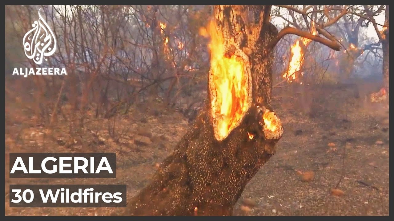 Algerians decry lack of government support as wildfires rage