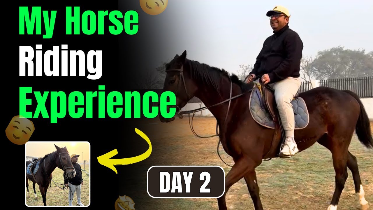 My Horse Riding Experience 🏇 Part 2 | #trending #nareshstories #experience