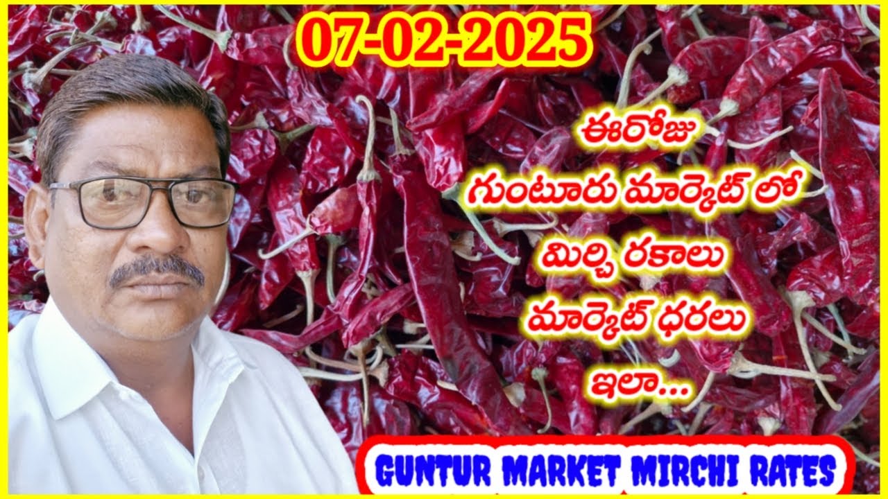 గుంటూరు మార్కెట్ మిర్చి ధరలు||07-02-2025||गुंटूर मार्केट मिर्ची दरलू||GUNTUR MARKET MIRCHI RATES