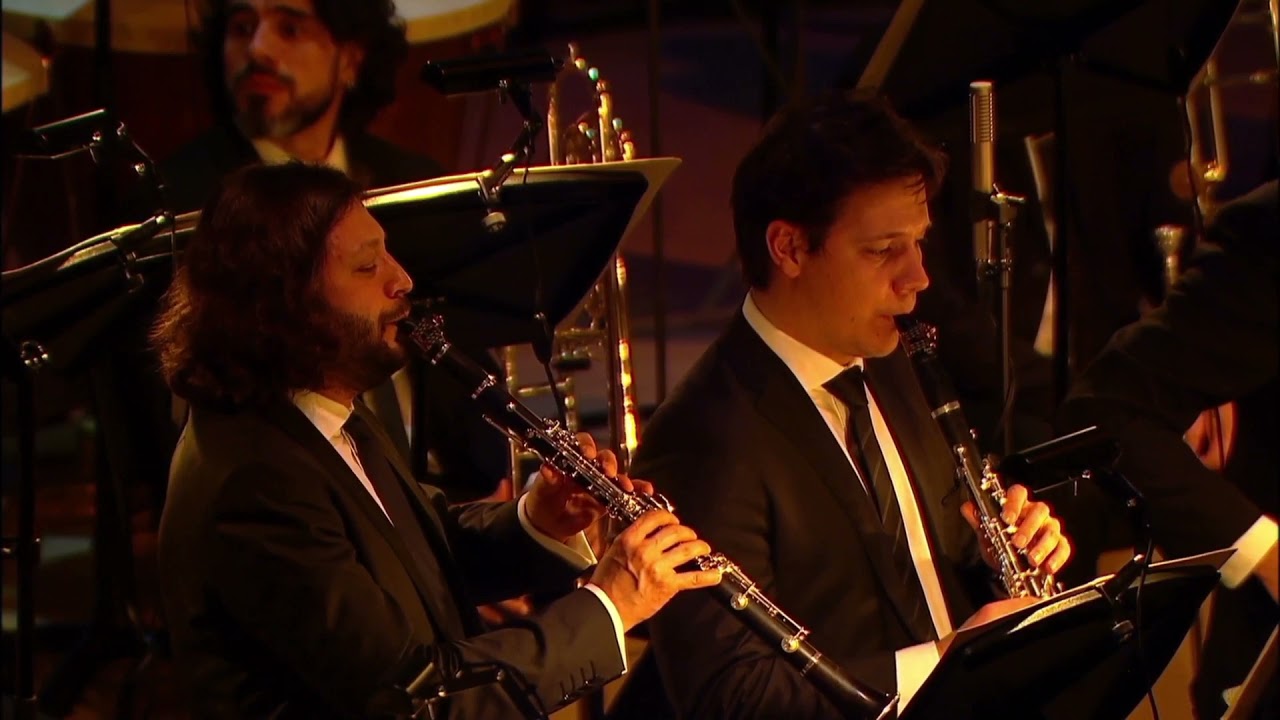 Stravinsky Firebird. Bassoon solo