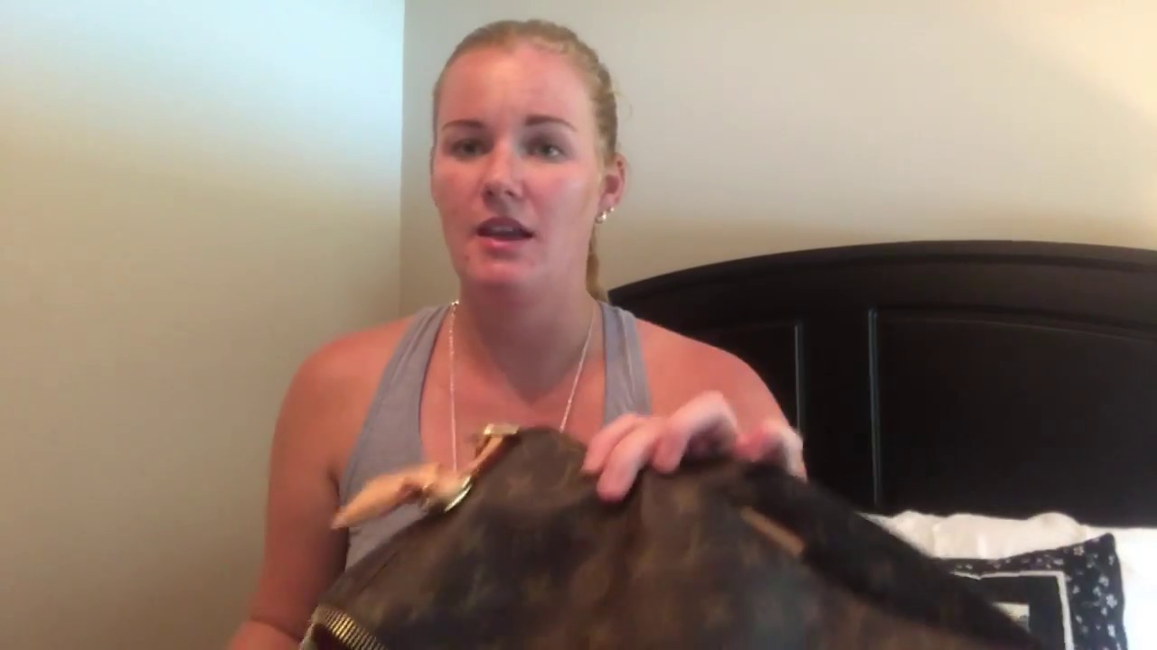 LV Melie Bag Review