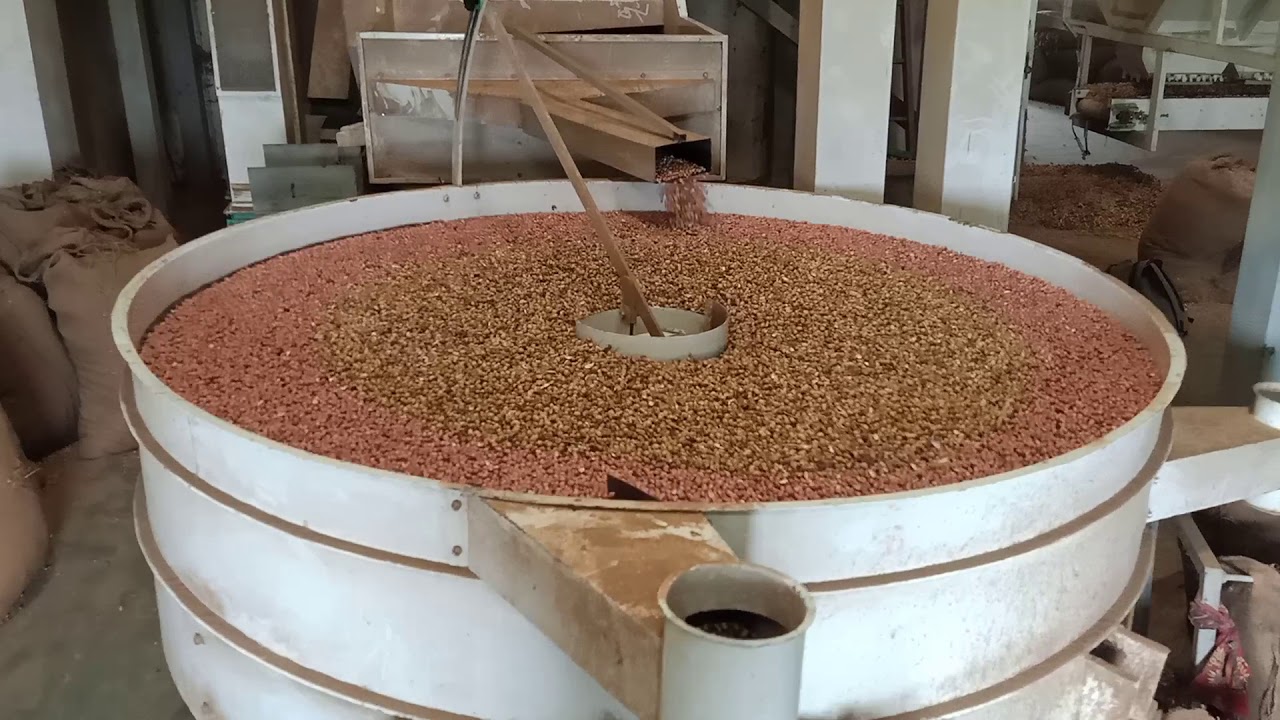 Fully automatic ground nut processing plant manufacturer by perfect Technology kuvadva Rajkot