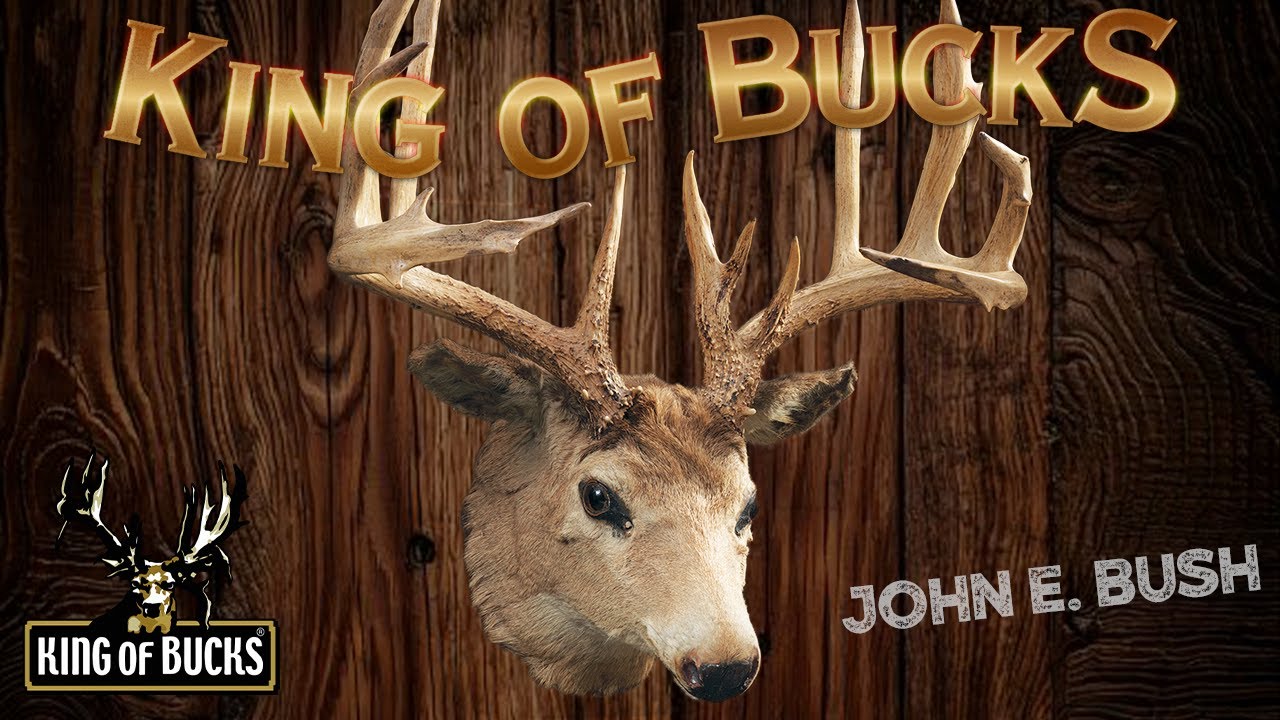 John E. Bush | King Of Bucks