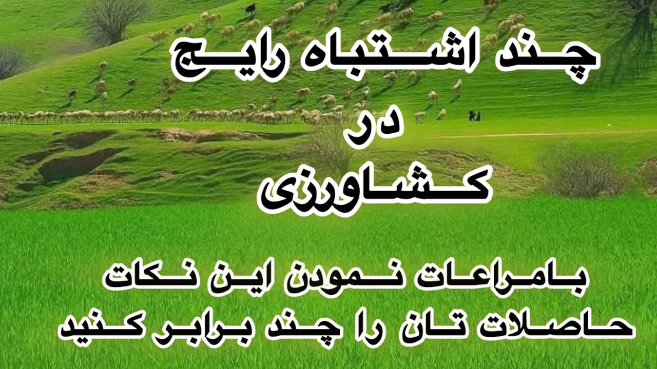 اشتباهات رایج که باعث کاهش حاصلات کشاورزی می‌شود 