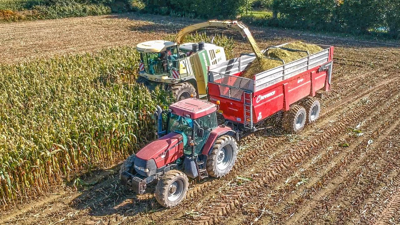 Ensilage de Maïs - EARL Des Perelles et ETA Belliard